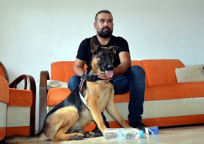 Yaralı köpek 112'ye sığındı